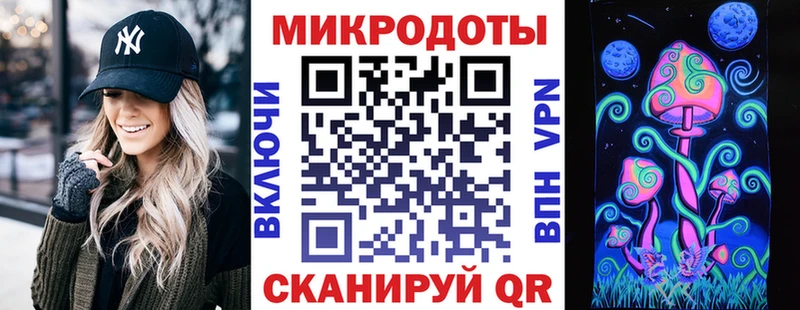 Галлюциногенные грибы Psilocybe Макарьев